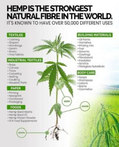 hemp is a natural Eco-Friendly fibre