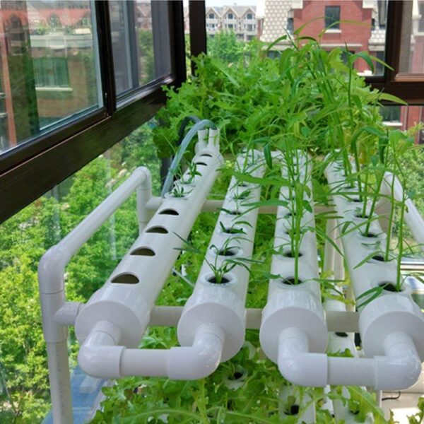 hydroponic system