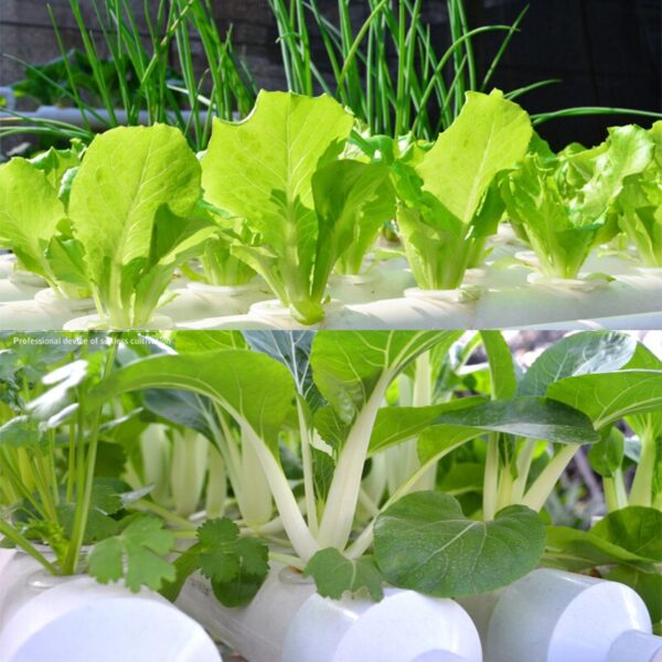 hydroponic indoor herb garden kit