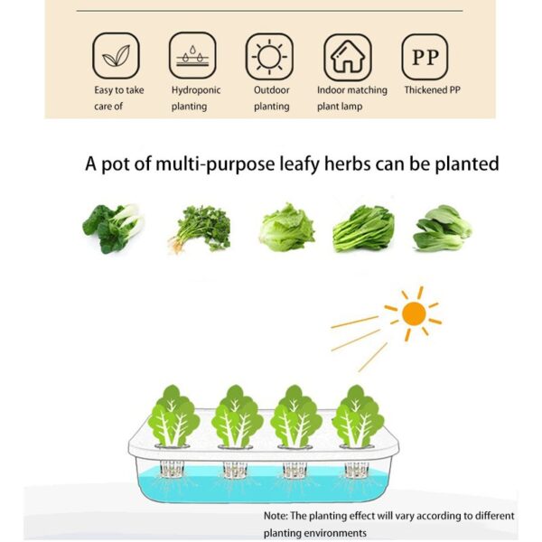 12-hole hydroponic cultivation planting tray