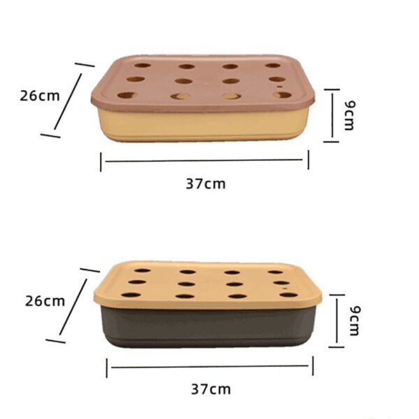 12-hole hydroponic cultivation planting tray