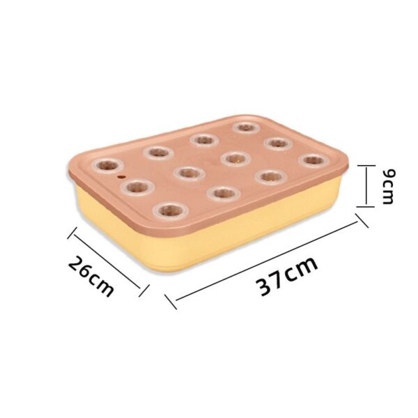 12-hole hydroponic cultivation planting tray