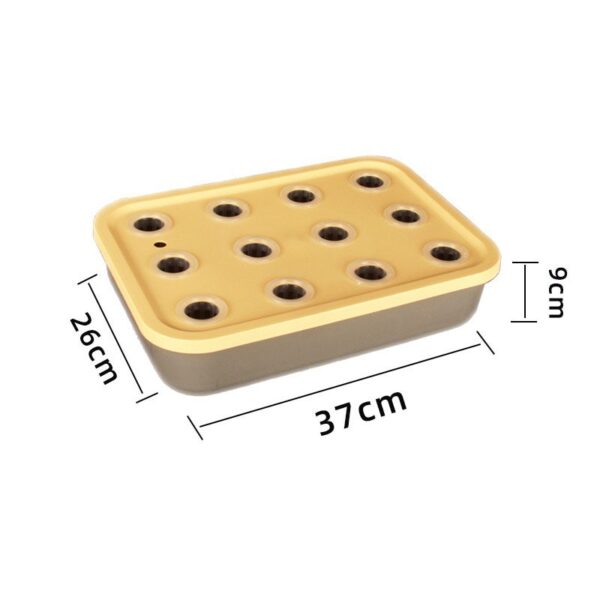 12-hole hydroponic cultivation planting tray