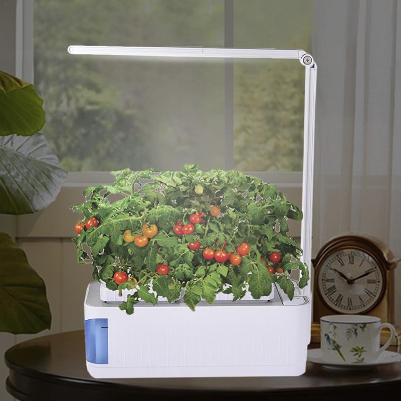 hydroponic grow kit with lighting