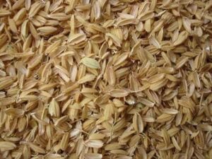 parboiled rice husks grow medium