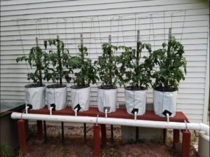 DIY hydroponic drip system