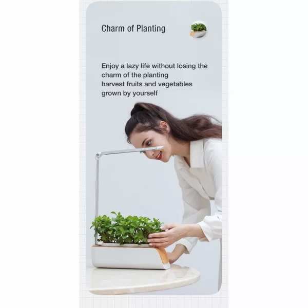 Indoor Herb Garden Starter Kit with Led Grow Light