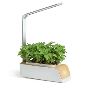 Indoor Herb Garden Starter Kit with LED Grow Light