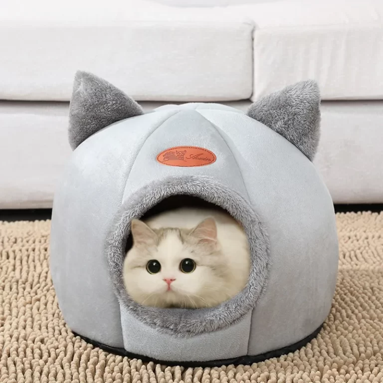 Read more about the article A Guide to Choosing the Perfect Pet Bed