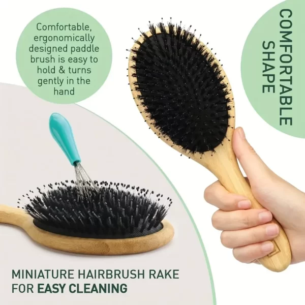 Natural Boar Bristle Hair Brush with Bamboo Handle