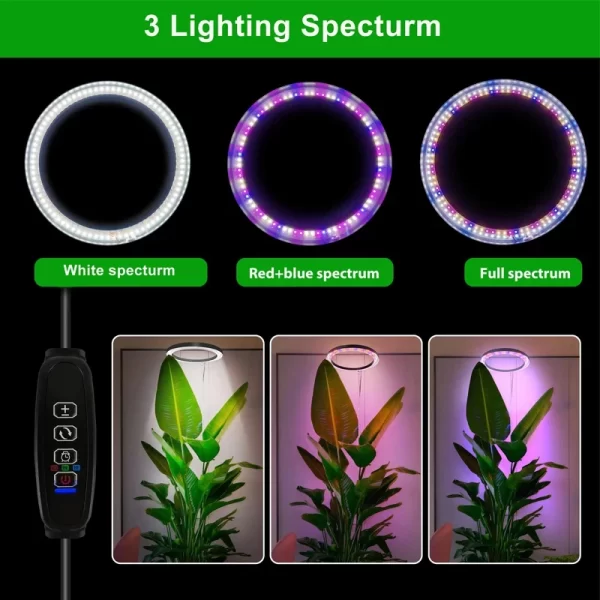 165cm Height Adjustable LED Ring Grow Light with USB