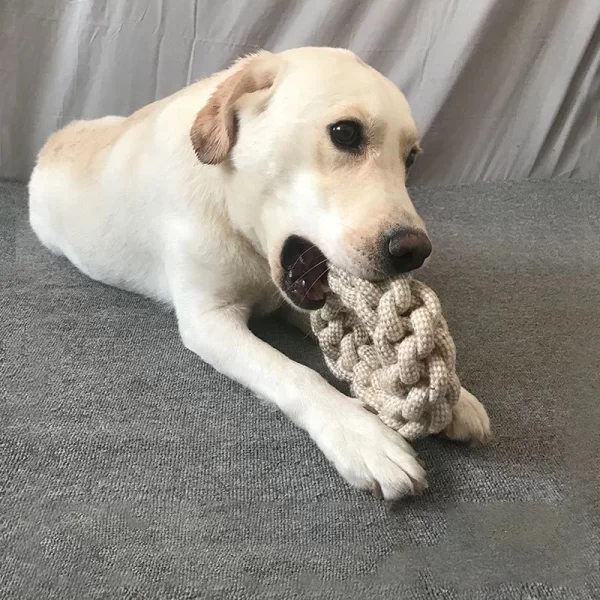 Cat/Dog Knot Toy Cleaning Teeth Grinding Teeth