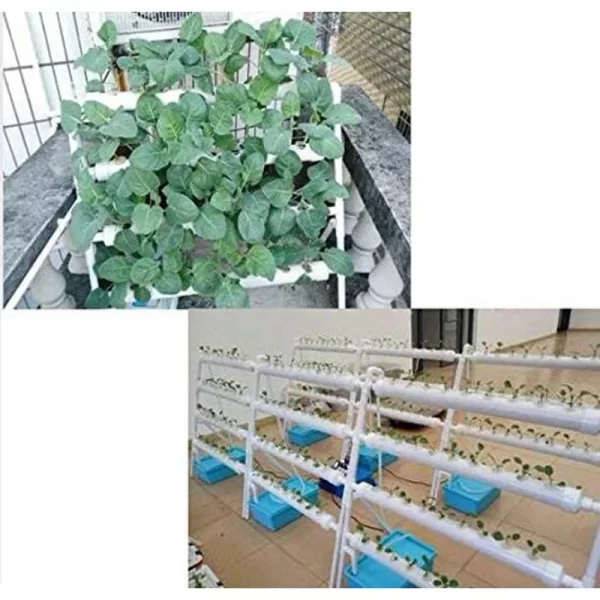 36 Holes Site Hydroponic Grow Kit