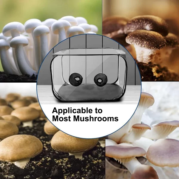 Mini Greenhouse Mushroom Growing Container Still Air Box