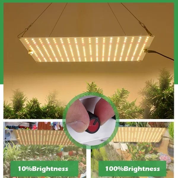 LM281B Quantum LED Grow Light Phytolamp with EU Plug