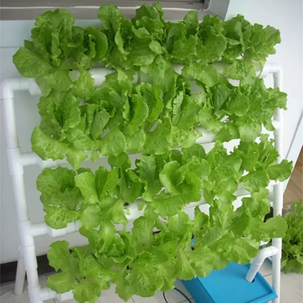 36 Sites 4 Layers Hydroponic Grow Kit