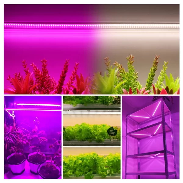 Grow Light 220V Full-Spectrum LED Bar Light for Plants