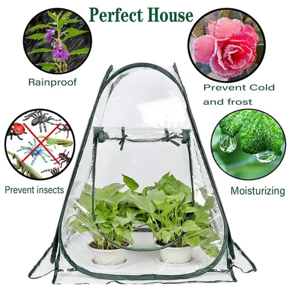 Pop-Up Portable PVC Greenhouse Grow Tent