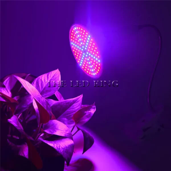 E27 Phyto Lamp Full-Spectrum LED Grow Light