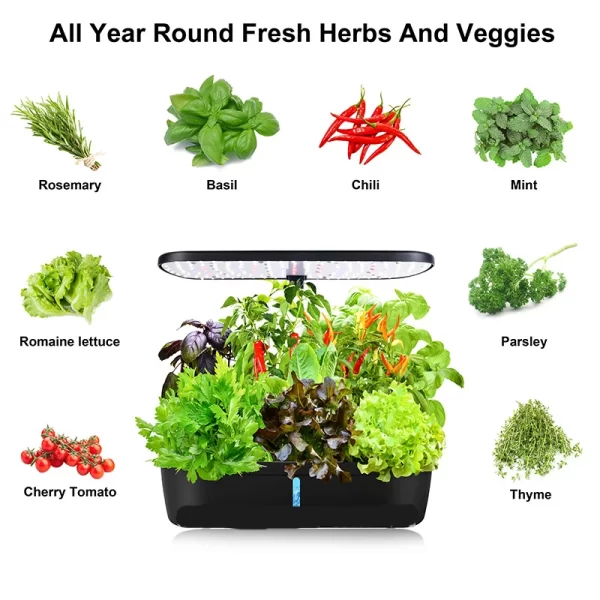 6 Sites Indoor Hydroponic System Herb Planting Kit