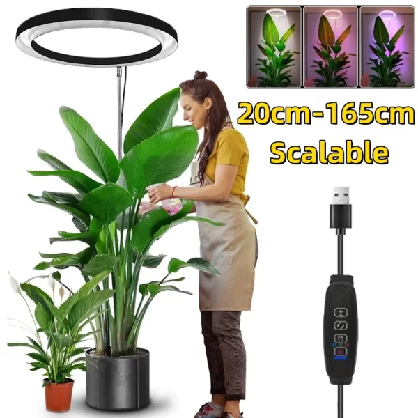 165cm Height Adjustable LED Ring Grow Light with USB