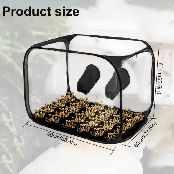 Mini Greenhouse Mushroom Growing Container Still Air Box