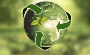 hydroponics the Sustainable, Eco-Friendly Solution
