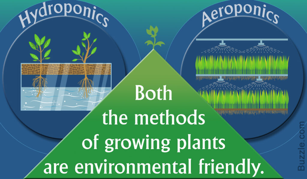 Aeroponic vs hydroponic