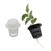 20Pcs Plant Nursery Mesh Cup Pots and Grow Pot Sponge