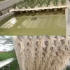 20Pcs Plant Nursery Mesh Cup Pots and Grow Pot Sponge