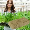 500/50x Stonewool Hydroponic Grow Media Cubes