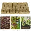 500/50x Stonewool Hydroponic Grow Media Cubes