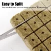 500/50x Stonewool Hydroponic Grow Media Cubes