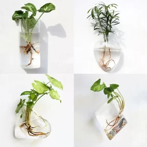 Hydroponic Transparent Cone Shape Wall Hanging Vase