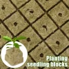 500/50x Stonewool Hydroponic Grow Media Cubes