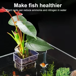 Hydroponic Water Grass Fish Tank Basket