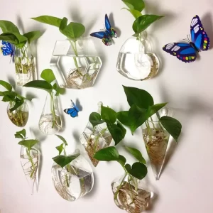 Hydroponic Transparent Cone Shape Wall Hanging Vase