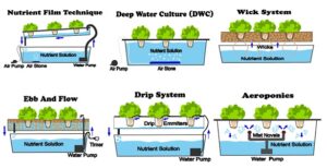The Different Types of Hydrophonic Systems