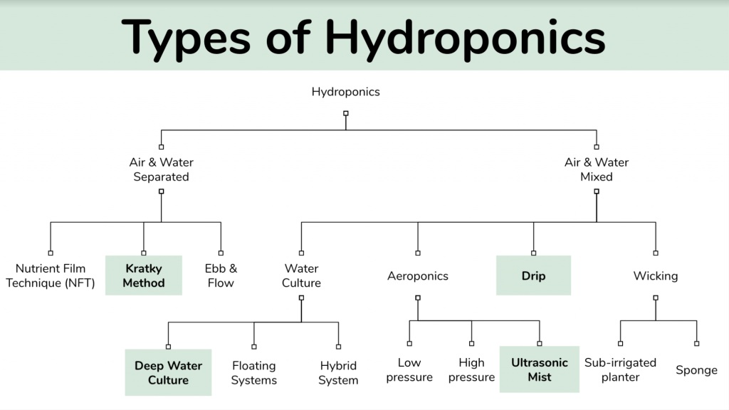 Types of Hydroponic Systems