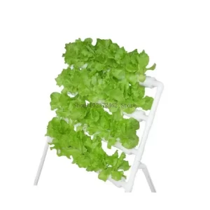 36 Holes Hydroponic Grow Kit