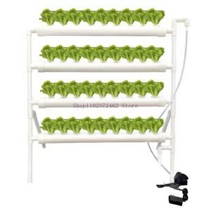 36 Holes Hydroponic Grow Kit