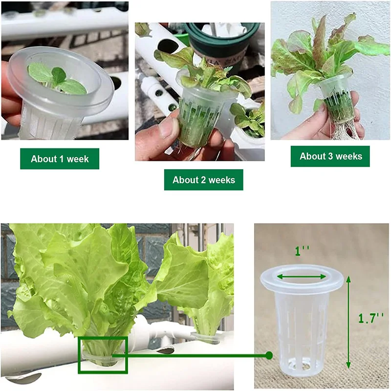 Hydroponic Site Grow Kit with Nest Basket Water Pump and Sponge