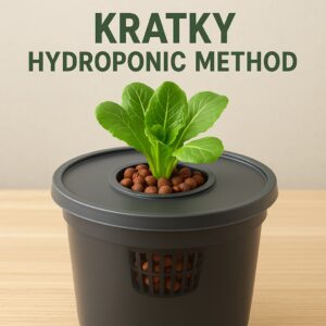 Kratky Hydroponic Method 