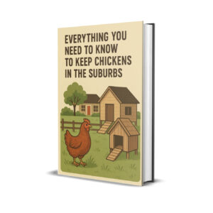 Keeping Chickens in the Suburbs
