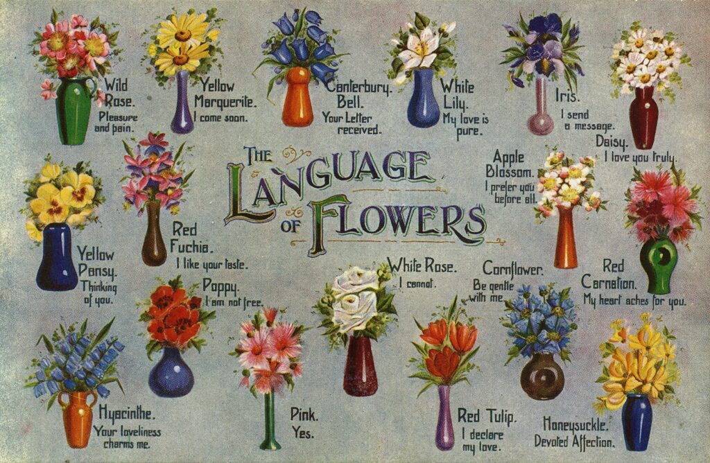 the language of flowers