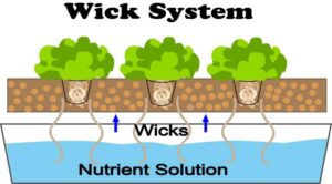 wick system