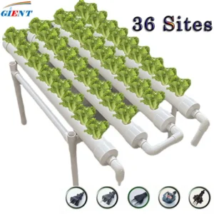 Hydroponic Grow Kit 36 Holes