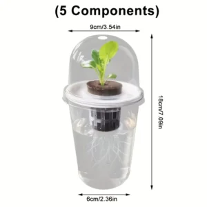 Transparent Cylindrical Plastic Hydroponic Pot