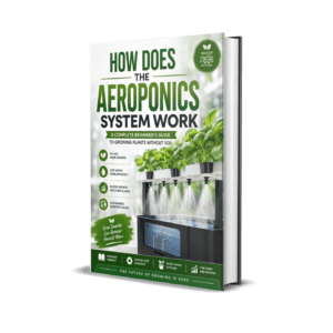 How Does the Aeroponics System Work