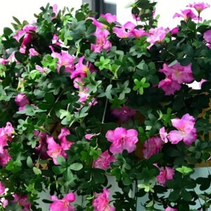 Artificial Simulation Hanging Azalea Flower